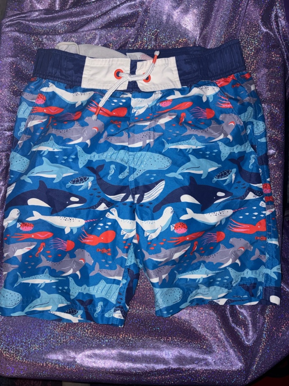 Boys Mini Boden Swim Trunks